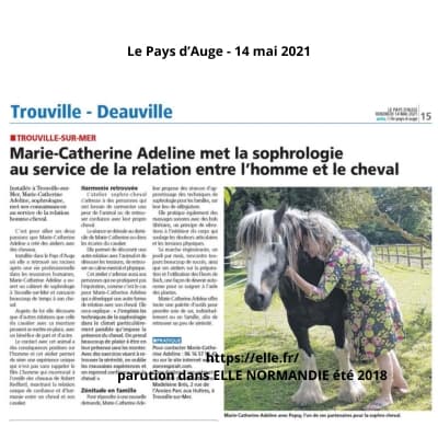 article sophro-cheval en pays d'auge calvados