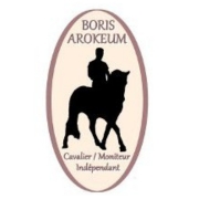 logo ecuries boris arokeum