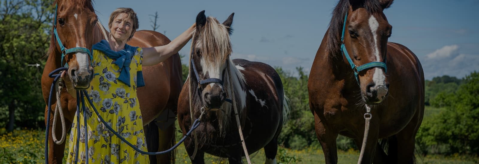 marie-catherine adeline et ses partenaires sophro chevaux