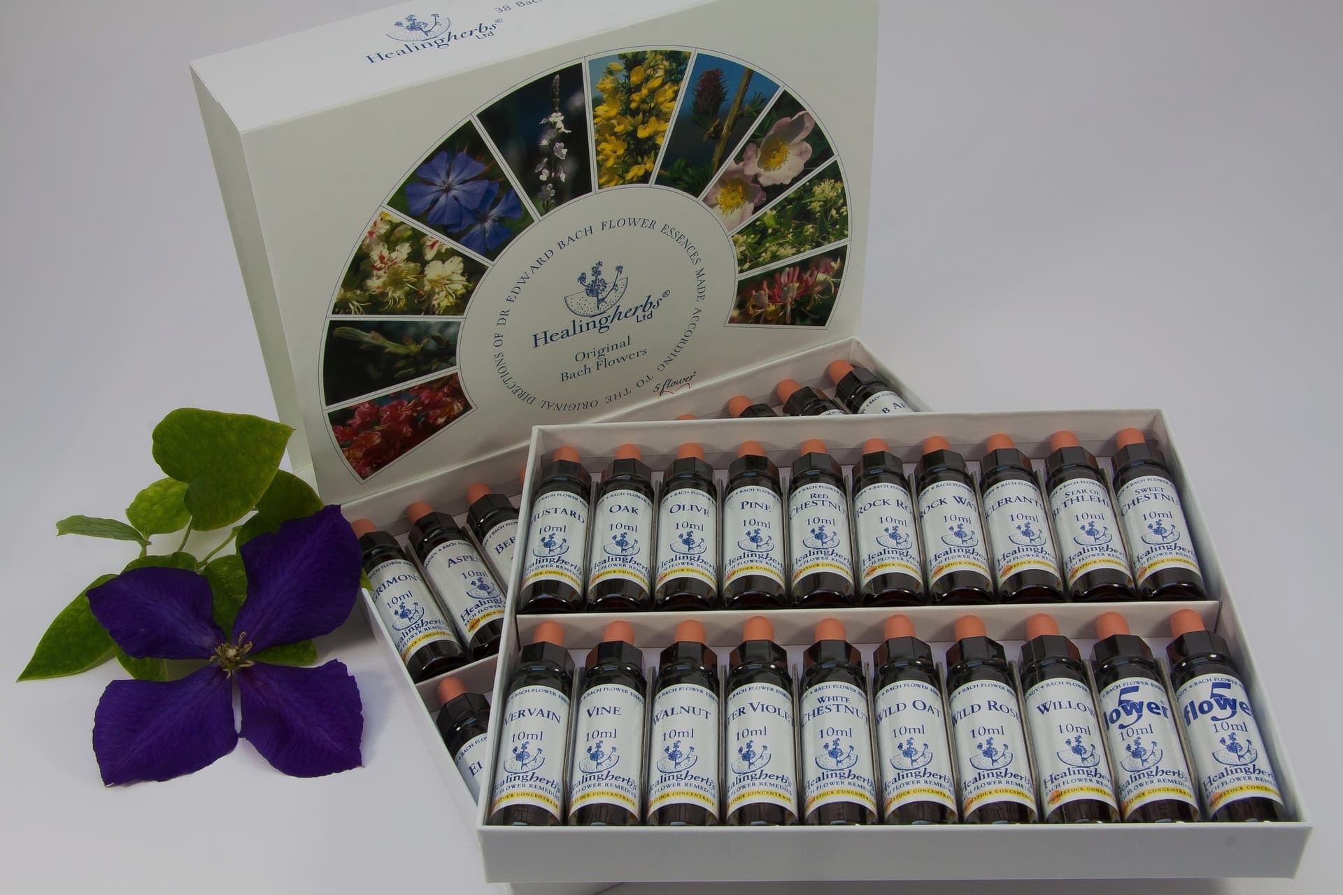 coffret contenant les 38 fleurs de bach