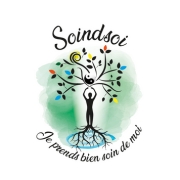 logo soindsoi