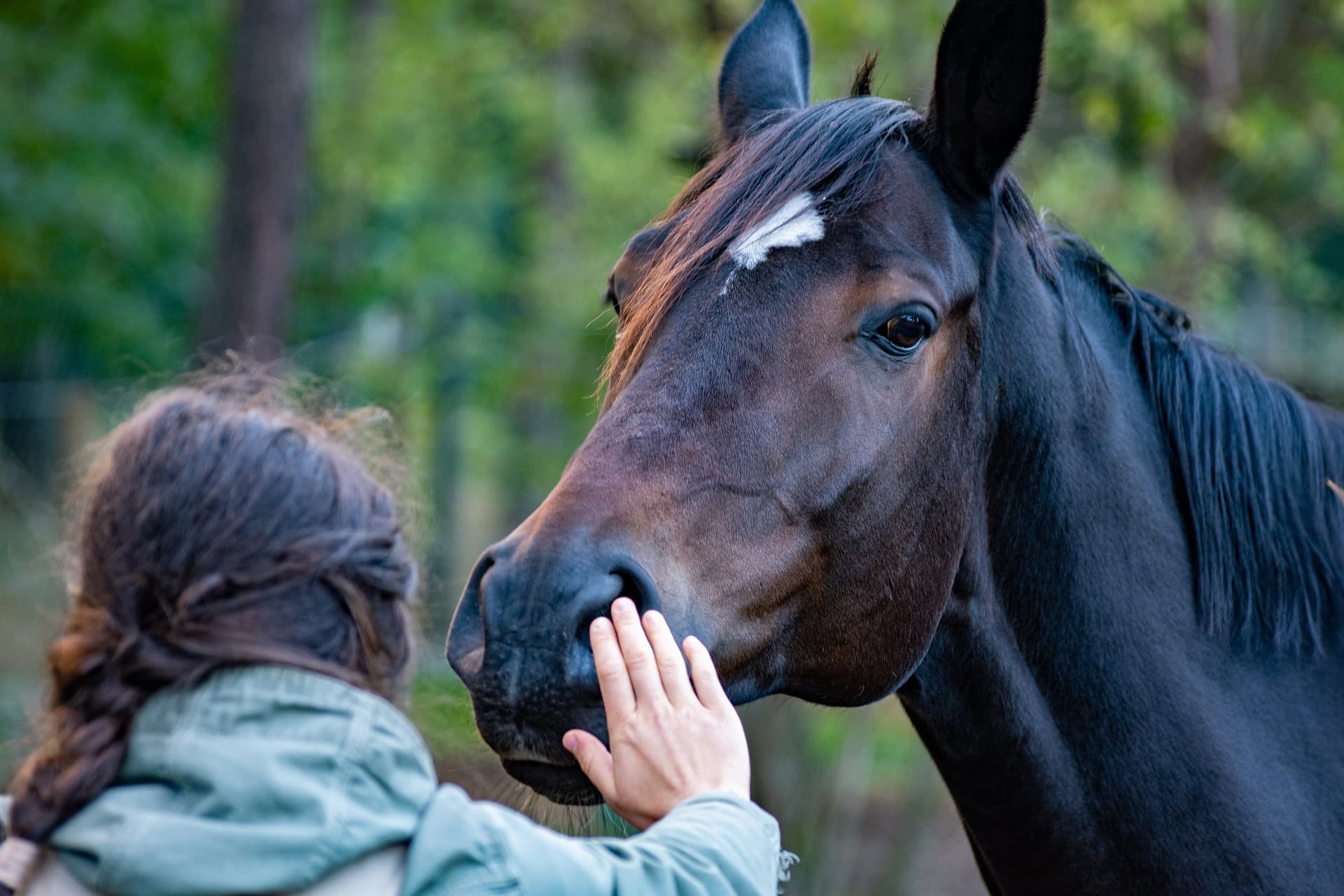 Sophrologie au contact du cheval