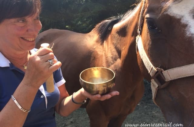 stagiaire frappant sur un bol tibétain à côté d'un cheval